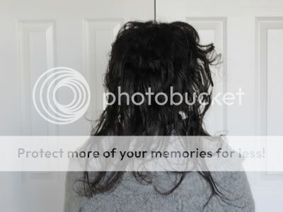 11-07-09_rollerset_back_view.jpg