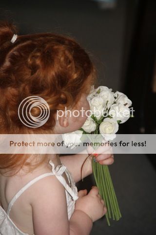 IPB Image