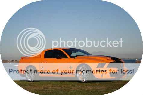 Posted Image